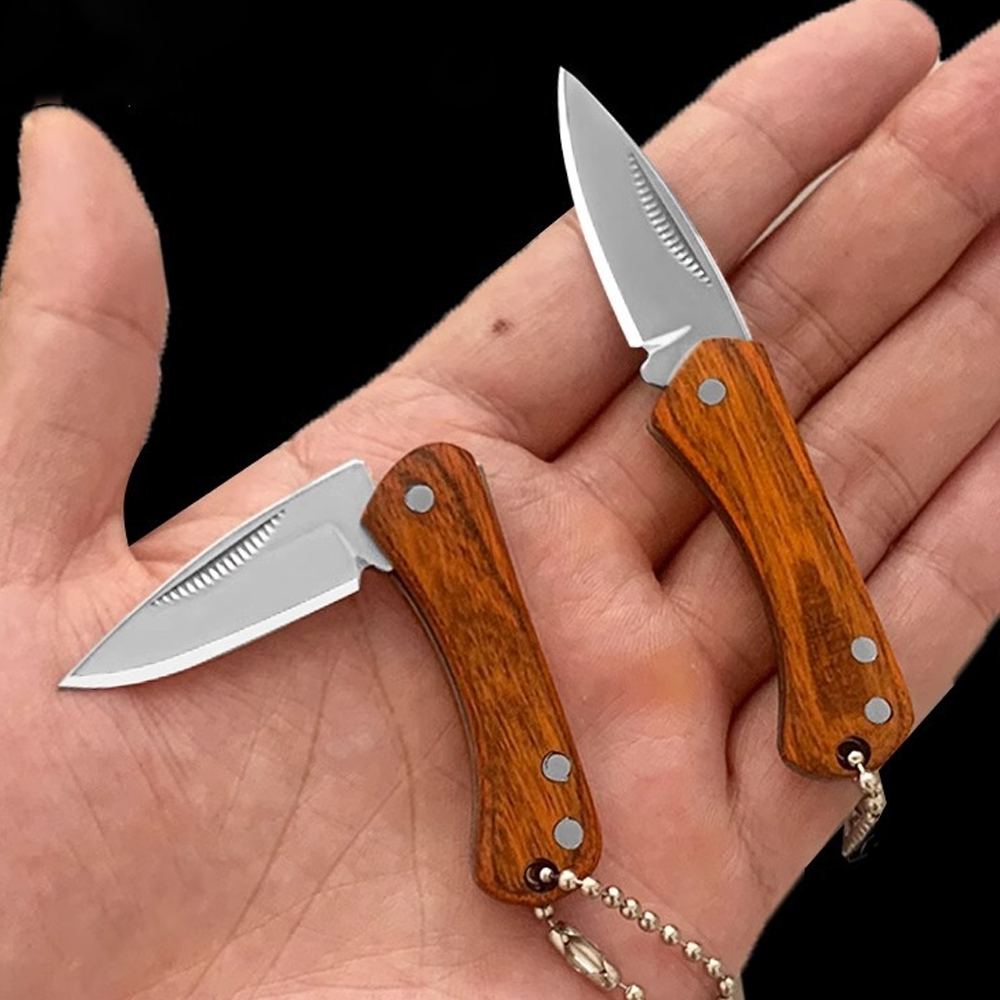 Small Keychain Pocket Knife Ev - Edc Day Carry recensione e prezzo