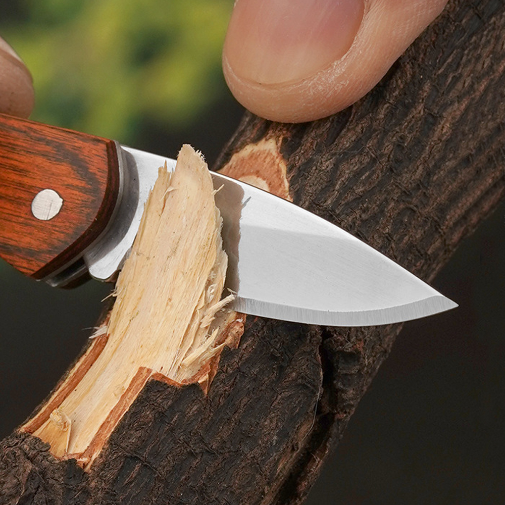 Small Keychain Pocket Knife Ev - Edc Day Carry recensione e prezzo
