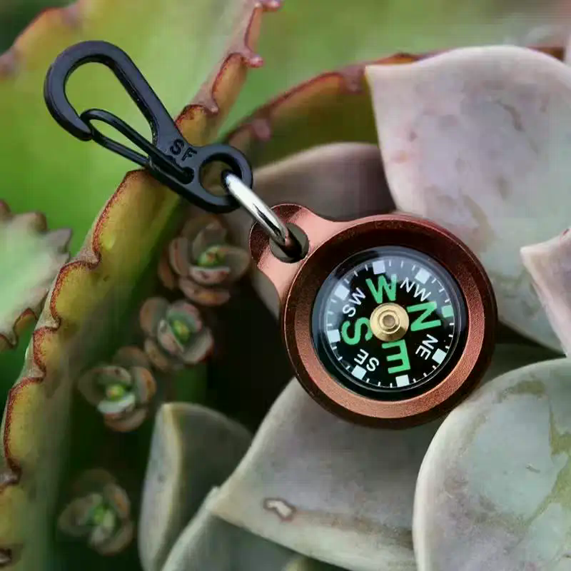 Mini Aluminum Alloy Compass Ke - Compass Keychain Mini recensione e prezzo